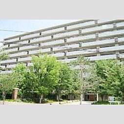 志木市柏町1丁目