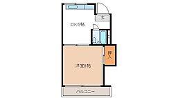 アピスメゾン 301