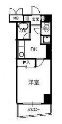 ウィステアリア