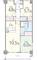 コスモス・ミソノ 501