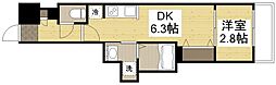 月光加賀 705