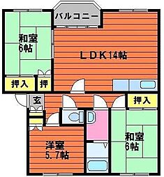 ヴェル・フィオーレＮ．Ｔ 　C 202