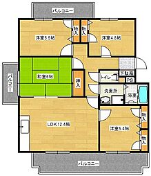 龍ハイツ南片江 109