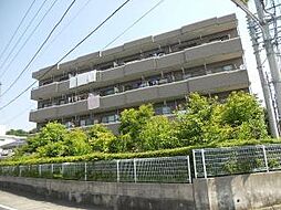 ビューフォート湘南 301