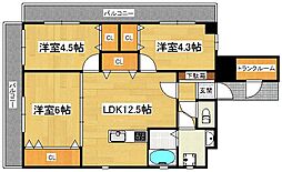 ルチアサントレ姪浜 502