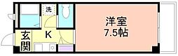 シャトレＭ 205
