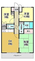 クレアールスギモト 301