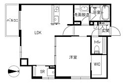 MAORI 0703