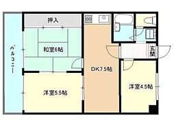 シャトー第一土山 204