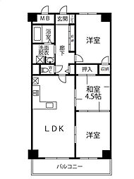 グリーンコート井口 203