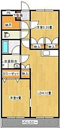 プリムローズ 102