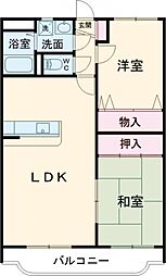 リファインド・F 303