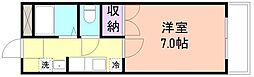 プリムローズ I 307