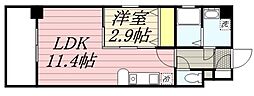 CASSIOPEIA HAKOZAKI 705