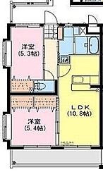 グレイスルピナス 203