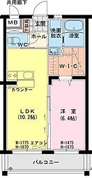 フィオーレ II 303