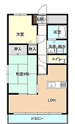 ファルネーゼ鵤 301