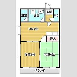 桜花林 105