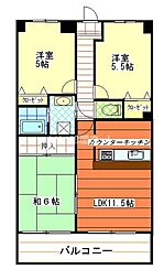 パインヒル・コーナン 5C