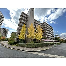 野村三好ケ丘6番館 507