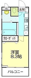 コートフルキ 202