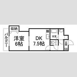 Du四条 4P