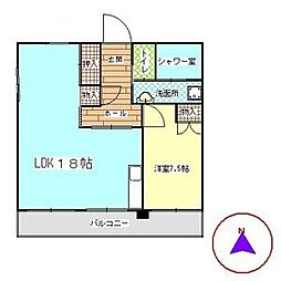 イミソーレ岩倉 205
