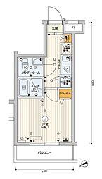 スカイコートパレス溝の口 204