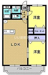 Ｙ＆Ｍ　ＡＮＤＯＵ 306