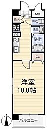 シーダーフィールド 00601