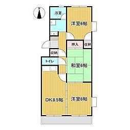 シティーパレス松本 203