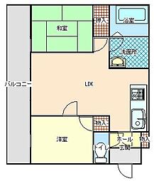 KEN白木 C-3