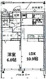 Stella小池原 505