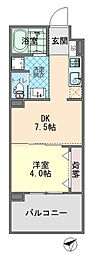 POTHOS呉三条 201