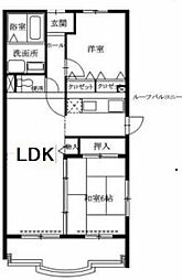 ディーズコート 505