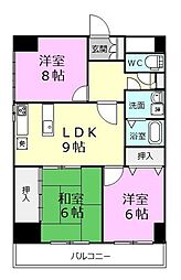 ワジマ小雑賀