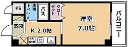 エランビタール 311