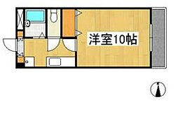 ジュネス沖新 205
