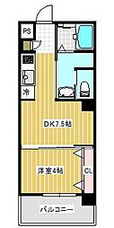 POTHOS呉三条 801