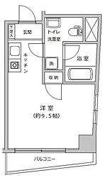 コートブランシュ 204