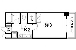 メゾン菊池 305