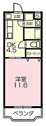ラルジュヴェール 203