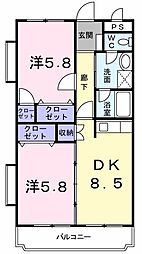 フェリーチェ 304