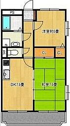 ハイルネッサンス　A 305