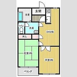 コンフォート楠 205