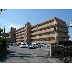 ブロッサムガーデン利平治 125