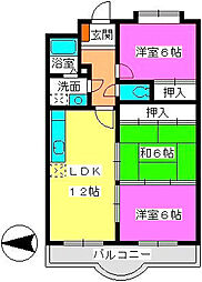 シャイネンT 206