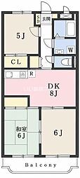 Ｓ　ＳＱＵＡＲＥ 202