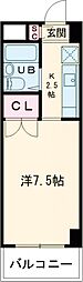 GLANZ MASAKI 203