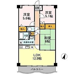 ビヴァシティ函南 202